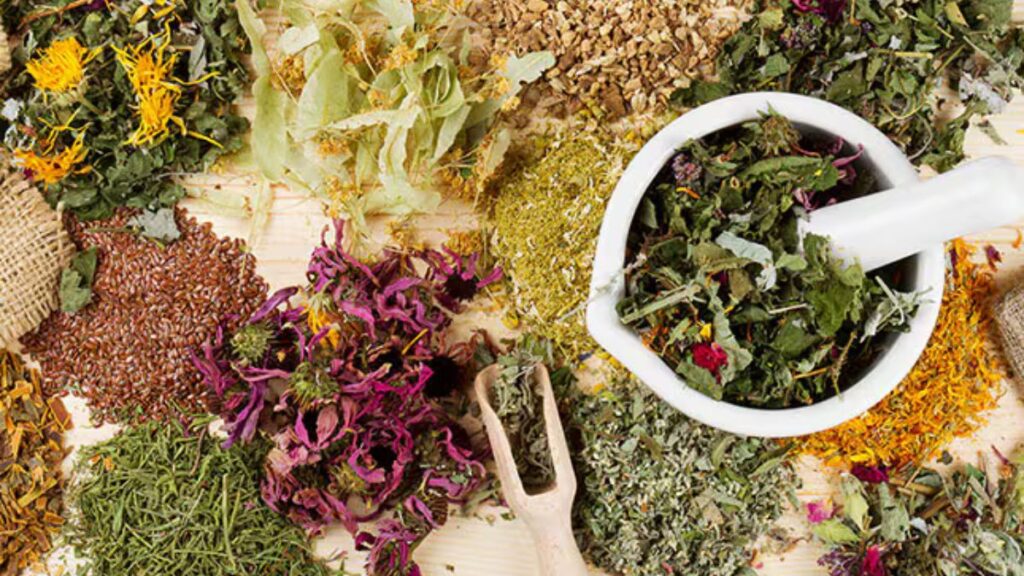 Spotting Herbciepscam: Red Flags to Look Out For in Herbal Products