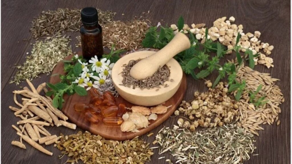 Why Well Health Organic Ayurveda Is Taking Over 2025