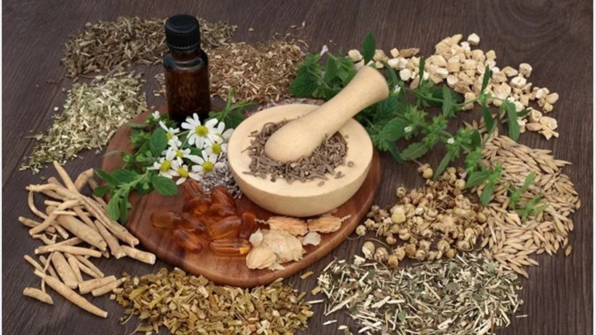 well health organic ayurveda