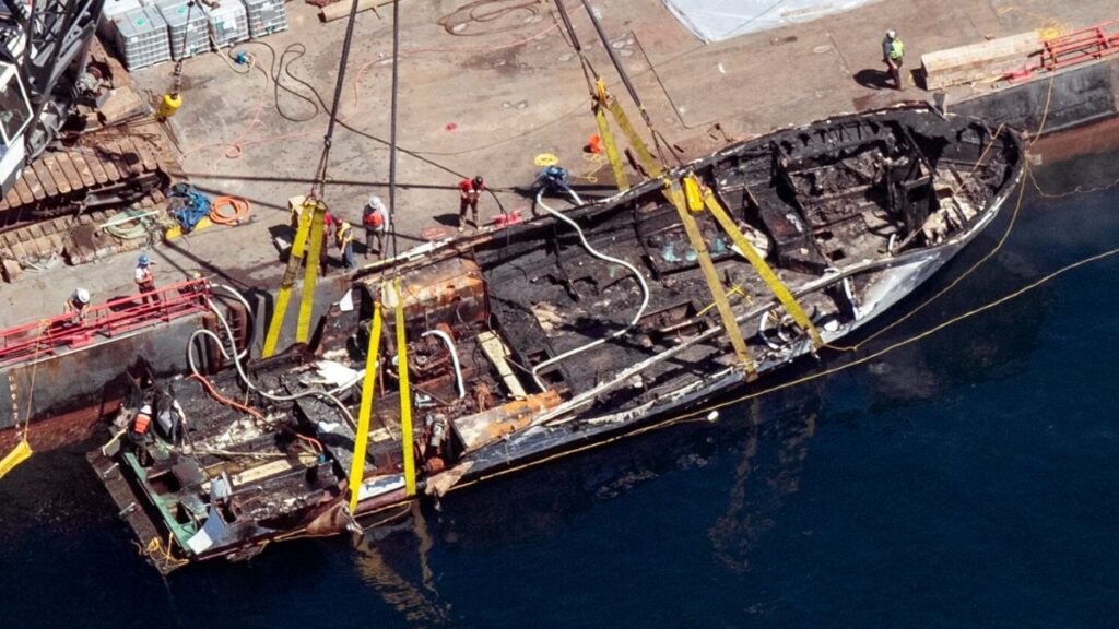Understanding the Concept of Crew Disquantified Org: A Deep Dive