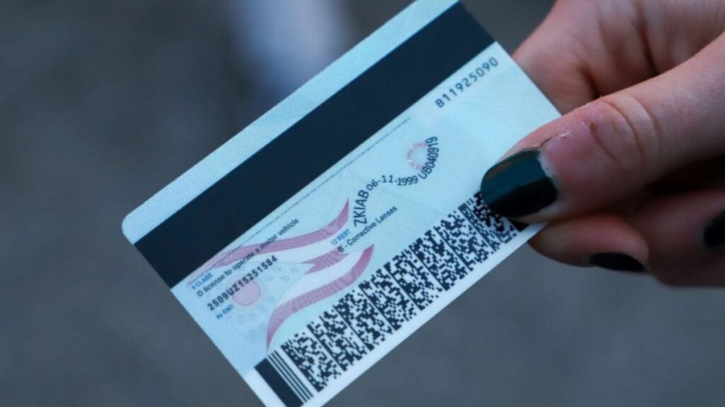 IDGod vs. Traditional ID Services: Which is Right for You?